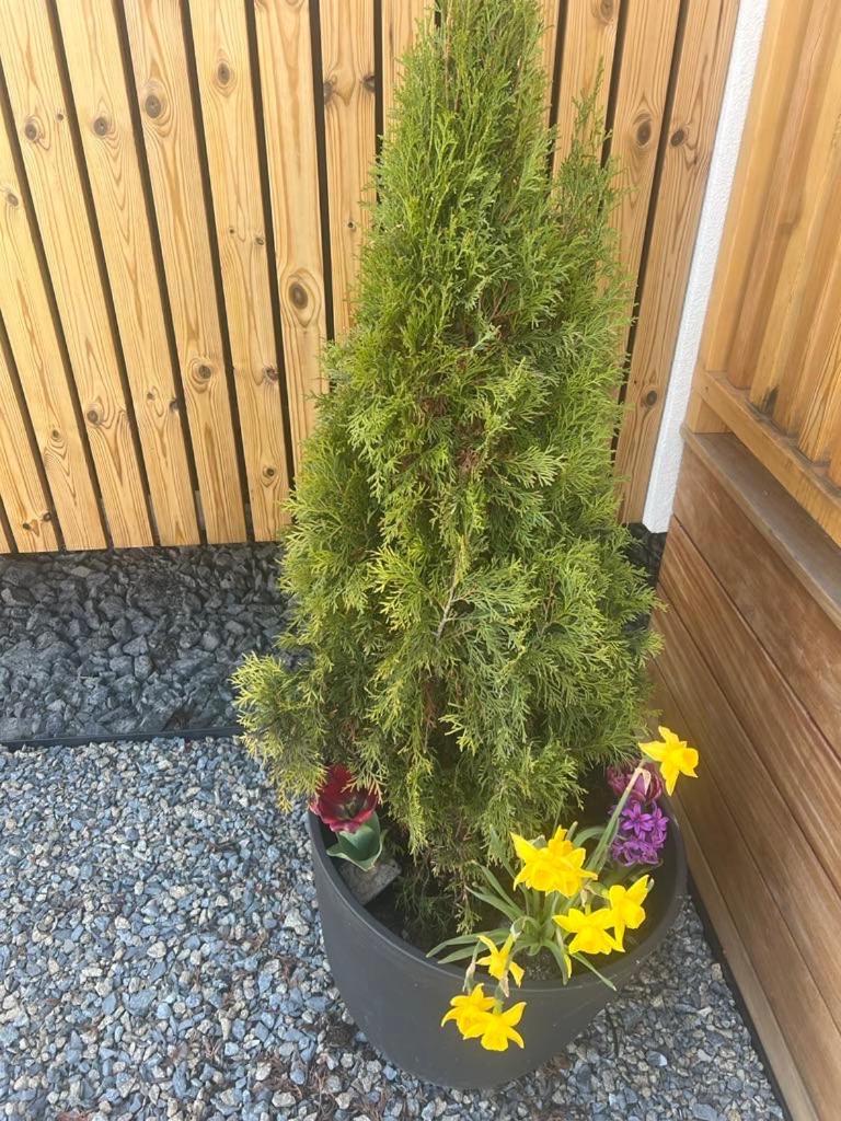 Domcek Pod Vezami S Virivkou A Grilom, Pri Termalnom Kupalisku Lägenhet Liptovský Ján Exteriör bild